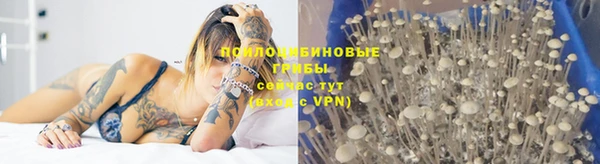 дживик Надым