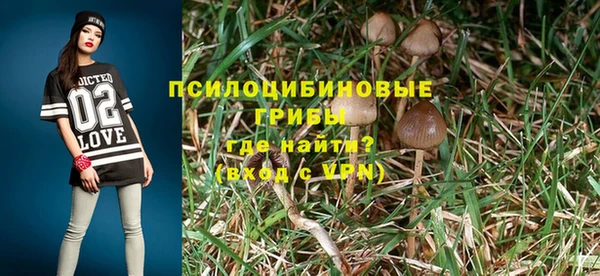 прущие крисы Михайловск