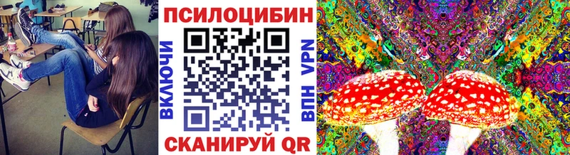 Купить закладки  Ладушкин  Псилоцибиновые грибы ЛСД 