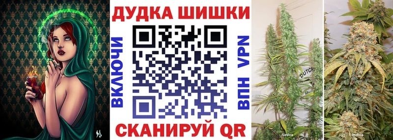 Бошки Шишки ГИДРОПОН  Купить  Ладушкин 